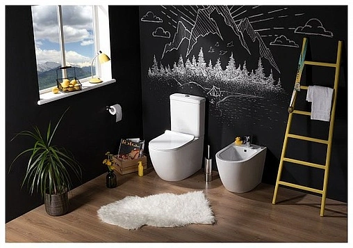 Биде напольное Aquanet Cetus-B1 белый BL-102-FSB Биде напольное Aquanet Cetus-B1 белый BL-102-FSB