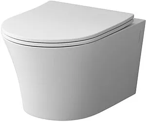 Унитаз подвесной безободковый Damixa Skyline белый DX35C1700SC Унитаз подвесной безободковый Damixa Skyline белый DX35C1700SC, 1