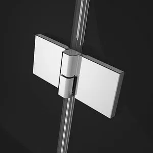 Дверь в нишу 1200мм прозрачное стекло Radaway Essenza New DWJS 120 R 385031-01-01R+384090-01-01, 1