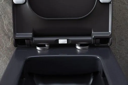 Унитаз подвесной безободковый Allen Brau Infinity антрацит 4.21011.AN