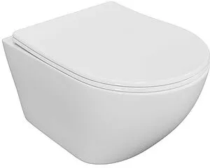 Унитаз подвесной безободковый Toni Arti Russi белый TA-1900 Унитаз подвесной безободковый Toni Arti Russi белый TA-1900, 5