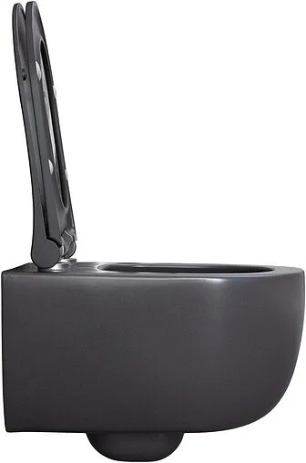 Унитаз подвесной безободковый Allen Brau Priority антрацит 4.31002.AN