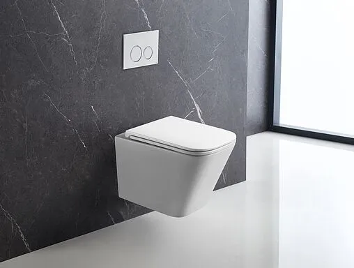 Унитаз подвесной безободковый Terminus Ватикан белый 03W49x34W