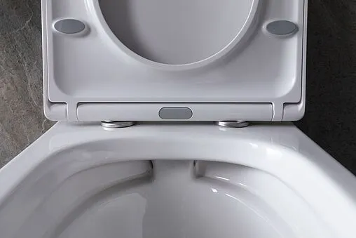 Унитаз подвесной безободковый Allen Brau Infinity белый 4.21004.20