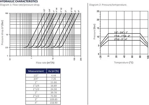 Погружной пружинный обратный клапан с фильтром 3&quot;в Tiemme YACHT 3500059