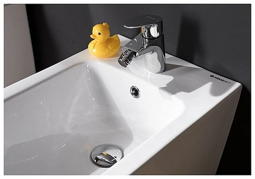 Биде напольное Aquanet Cetus-B1 белый BL-102-FSB Биде напольное Aquanet Cetus-B1 белый BL-102-FSB