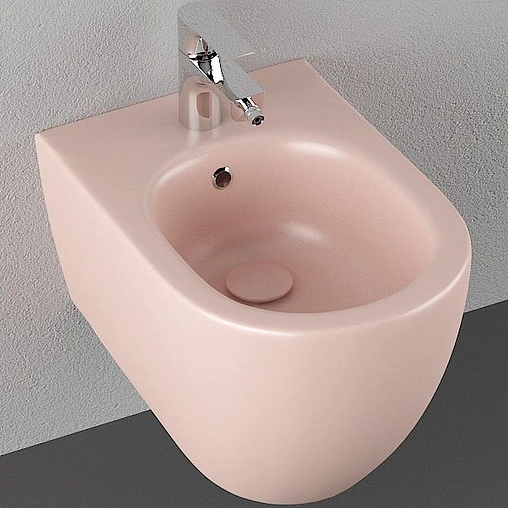 Биде подвесное ISVEA Infinity лососевый 10NF41001SV-2S Биде подвесное ISVEA Infinity лососевый 10NF41001SV-2S