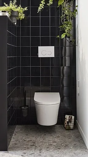 Умный унитаз-биде подвесной безободковый Jacob Delafon Seine Rimless белый E28072-00 Умный унитаз-биде подвесной безободковый Jacob Delafon Seine Rimless белый E28072-00