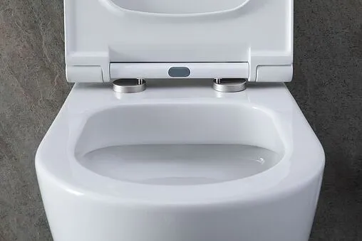 Унитаз подвесной безободковый Allen Brau Priority белый 4.31001.20