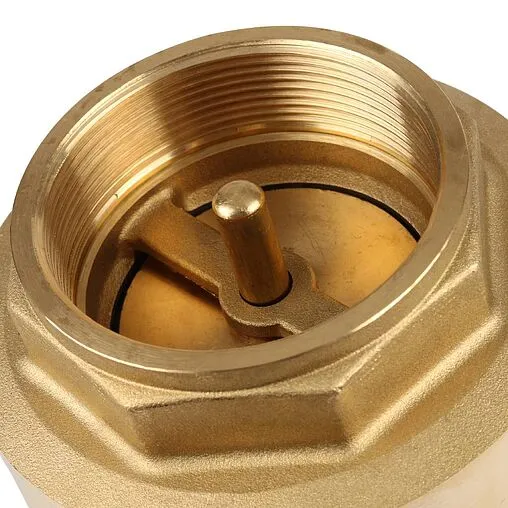 Клапан обратный пружинный 2½&quot;в x 2½&quot;в Itap Europa 1000212