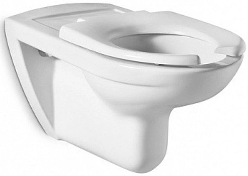 Сиденье для унитаза Roca Access белый 80123D004