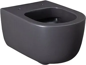Унитаз подвесной безободковый Allen Brau Priority антрацит 4.31002.AN, 5
