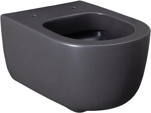 Унитаз подвесной безободковый Allen Brau Priority антрацит 4.31002.AN