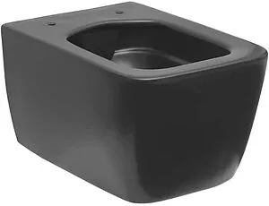 Унитаз подвесной безободковый Allen Brau Liberty антрацит 4.33007.AN, 3