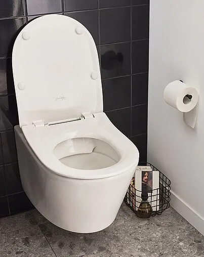 Унитаз подвесной безободковый Jacob Delafon Bastille Rimless белый EDAB102-00 Унитаз подвесной безободковый Jacob Delafon Bastille Rimless белый EDAB102-00