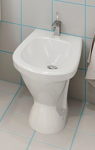 Биде напольное Sanita Самарское белый BD.FS/Samarsky/C/WHT.G/S1