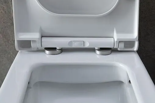 Унитаз-компакт безободковый Allen Brau Infinity белый 4.21012.20+4.XX000.20