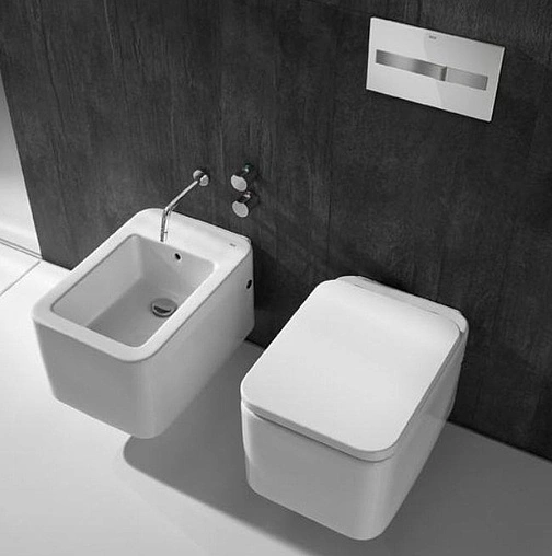 Клавиша смыва для унитаза Roca PL-2 890096005 кнопки/хром матовый, панель/белый глянцевый Клавиша смыва для унитаза Roca PL-2 890096005 кнопки/хром матовый, панель/белый глянцевый