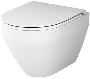 Унитаз подвесной безободковый Am.Pm Spirit 2.0 FlashClean белый матовый C701700MWSC Унитаз подвесной безободковый Am.Pm Spirit 2.0 FlashClean белый матовый C701700MWSC, 1