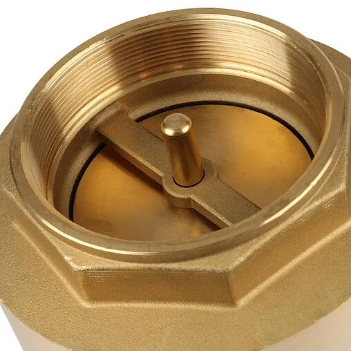 Клапан обратный пружинный 4"в x 4"в Itap Europa 1000400