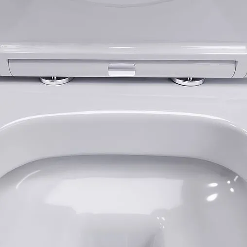 Унитаз подвесной безободковый Damixa Sirius белый DX86C1700SC Унитаз подвесной безободковый Damixa Sirius белый DX86C1700SC