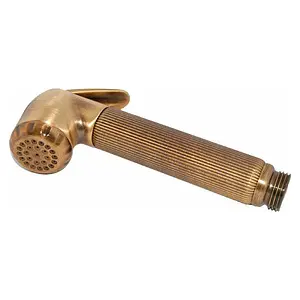 Гигиенический душ с шланговым подсоединением Bossini Nikita бронза C69002B.022, 2