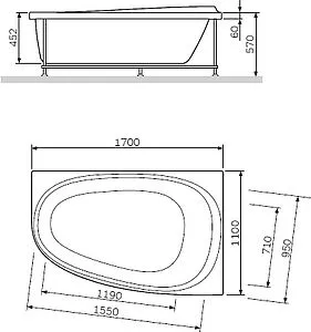 Ванна акриловая Am.Pm Like 170x110 Ванна акриловая Am.Pm Like 170x110, 2