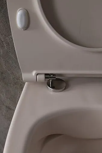 Унитаз подвесной безободковый Allen Brau Fantasy айвори 4.11004.IV