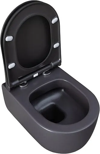 Унитаз подвесной безободковый Allen Brau Priority антрацит 4.31002.AN