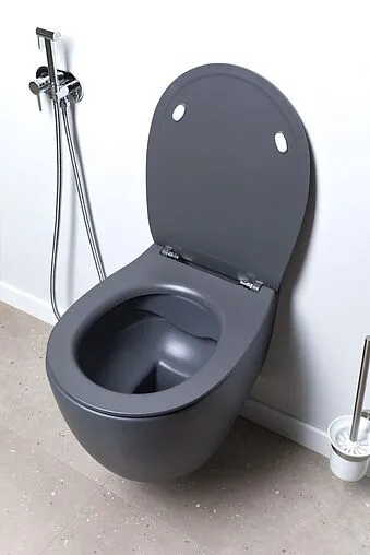 Унитаз подвесной безободковый Allen Brau Fantasy антрацит 4.11004.AN