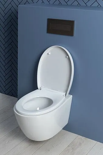 Унитаз подвесной безободковый Aquanet Zvezda Rimless белый ZV-1 Унитаз подвесной безободковый Aquanet Zvezda Rimless белый ZV-1