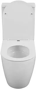 Унитаз-компакт безободковый Aquanet Cetus 3.0 Tornado белый Cetus 3.0 C1 T+Atago 3.0/Cetus 3.0 C2 Унитаз-компакт безободковый Aquanet Cetus 3.0 Tornado белый Cetus 3.0 C1 T+Atago 3.0/Cetus 3.0 C2, 3