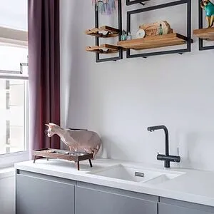 Смеситель для кухни с подключением к фильтру Blanco Fontas II антрацит/хром 525139 Смеситель для кухни с подключением к фильтру Blanco Fontas II антрацит/хром 525139, 5