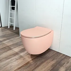 Унитаз подвесной безободковый ISVEA Sentimenti Neo лососевый 10AR02010SV-2S Унитаз подвесной безободковый ISVEA Sentimenti Neo лососевый 10AR02010SV-2S, 4