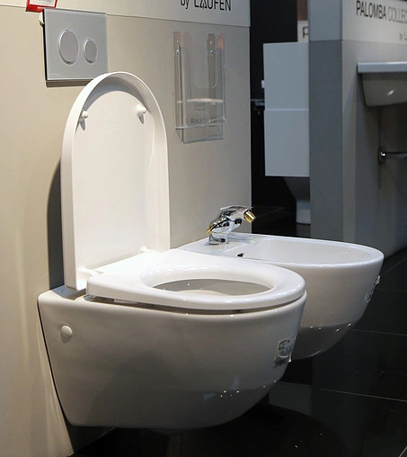 Унитаз подвесной Laufen Pro белый 8.2095.6.000.000.1