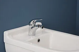 Смеситель для биде Aquanet Cobra хром SD90364, 5