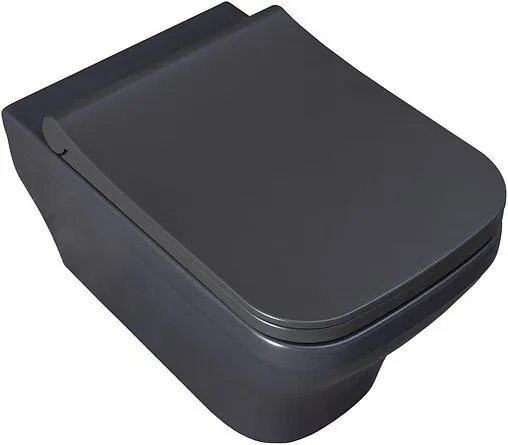 Унитаз подвесной безободковый Allen Brau Infinity антрацит 4.21011.AN