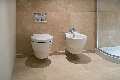 Унитаз подвесной Jacob Delafon Ove белый E1585-00