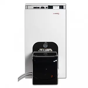 Котел комбинированный Бизон 40 NL Protherm Бизон 40 NL 0010003942, 1