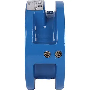 Клапан обратный поворотный двустворчатый межфланцевый Ду50 Ру16 Tecofi CB3448N-EP0050, 4