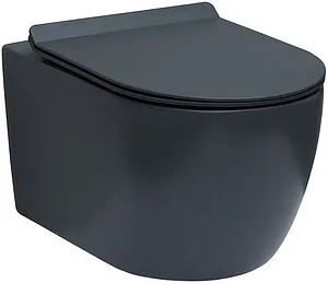Унитаз подвесной безободковый Aquanet Cetus-GW Rimless темно-серый матовый CETUS-GW Унитаз подвесной безободковый Aquanet Cetus-GW Rimless темно-серый матовый CETUS-GW, 1