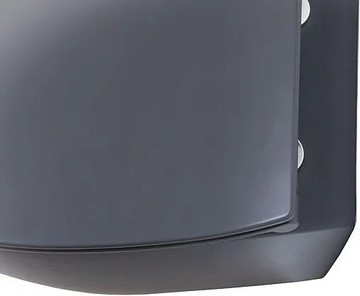 Унитаз подвесной безободковый Allen Brau Fantasy антрацит 4.11004.AN