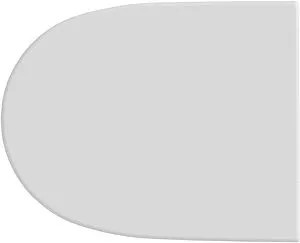 Крышка-сиденье для унитаза с микролифтом Roca Access белый 801233001 Крышка-сиденье для унитаза с микролифтом Roca Access белый 801233001, 4