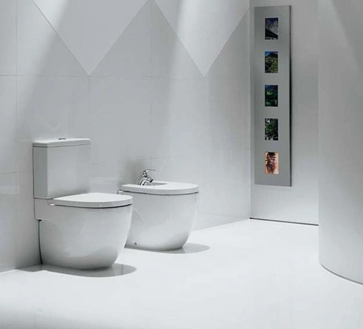 Крышка-сиденье для унитаза с микролифтом Roca Meridian белый 8012AC004