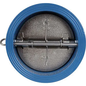 Клапан обратный поворотный двустворчатый межфланцевый Ду250 Ру16 Tecofi CB3448N-EP0250, 1