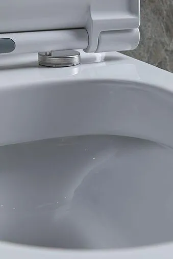 Унитаз-компакт безободковый Allen Brau Priority белый 4.31003.20+4.XX000.20