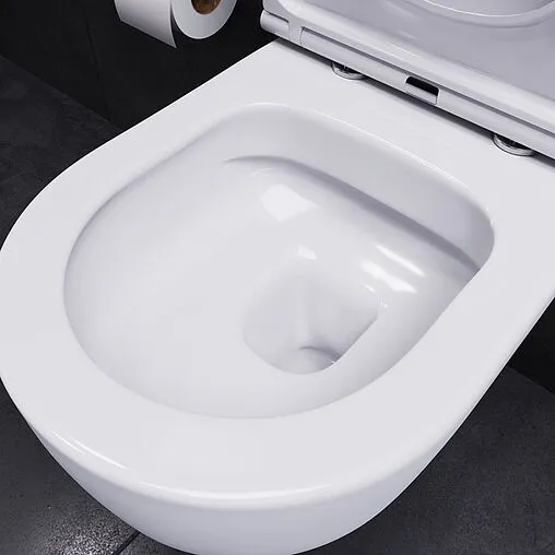 Унитаз подвесной безободковый Damixa Sirius белый DX86C1700SC Унитаз подвесной безободковый Damixa Sirius белый DX86C1700SC