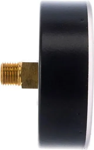 Манометр аксиальный Watts MAS 80мм 6 бар ½&quot; 10008023