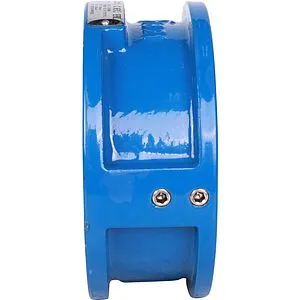 Клапан обратный поворотный двустворчатый межфланцевый Ду100 Ру16 Tecofi CB3448N-EP0100, 5