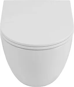 Унитаз подвесной безободковый Allen Brau Priority Tornado белый 4.31008.20, 5